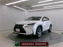 NX300h Iパッケージ