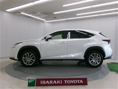 NX300h Iパッケージ