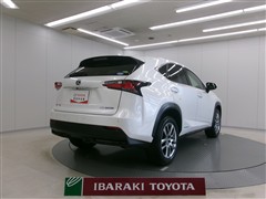 NX300h Iパッケージ