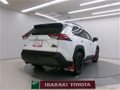 RAV4 アドベンチャー