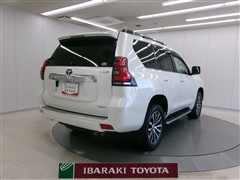 ランドクルーザープラド TZ-G