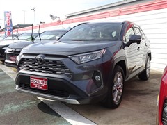 RAV4 G Zパッケージ