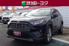 RAV4 G Zパッケージ