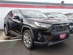 RAV4 G Zパッケージ