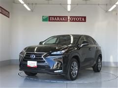 NX300h バージョンL