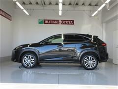 NX300h バージョンL