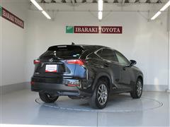 NX300h バージョンL