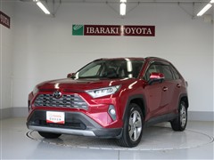 RAV4 G