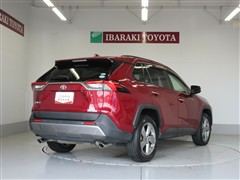 RAV4 G