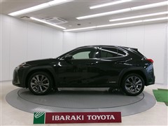 UX250h Fスポーツ