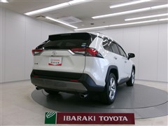 RAV4 G