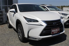 NX300h Iパッケージ