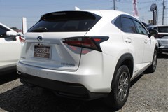 NX300h Iパッケージ