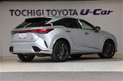 RX500hFスポーツパフォーマンス