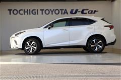 NX300 スパイスアンドシック