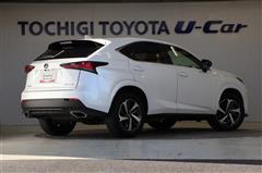 NX300 スパイスアンドシック