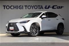 NX250 バージョンL 4WD