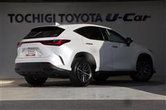 NX250 バージョンL 4WD