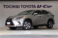 NX300h バージョンL 4WD