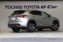 NX300h バージョンL 4WD