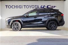 RAV4アドベンチャーオフロード2