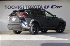 RAV4アドベンチャーオフロード2