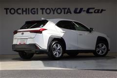 UX250h バージョンC