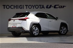 UX250h バージョンC