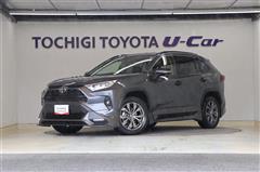 RAV4 X