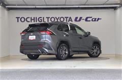 RAV4 X