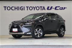 NX300h バージョンL