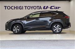 NX300h バージョンL