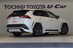 RAV4 ハイブリッドG フルエアロ