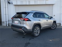 RAV4 G Zパッケージ 4WD