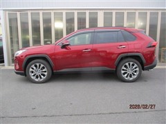 RAV4 G Zパッケージ 4WD