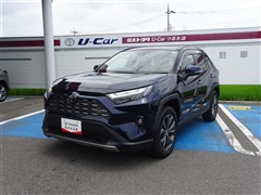 RAV4 ハイブリッドG サンルーフ
