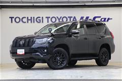 ランクルプラドTXLマットBL7ニン