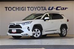 RAV4 X