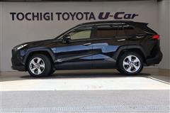 RAV4 G