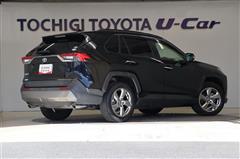 RAV4 G