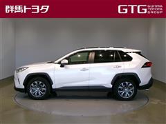 RAV4 G