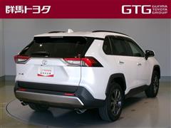 RAV4 G