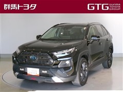 RAV4 HEV アドベンチャー