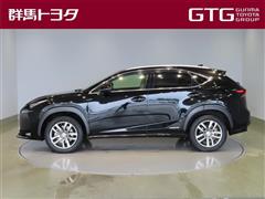 NX300h バージョンL