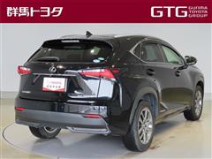 NX300h バージョンL