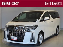 トヨタ　アルファードS タイプゴールド3