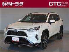 トヨタ RAV4 PHV G Z