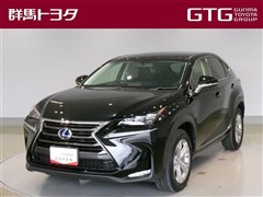 NX300h バージョンL