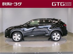 NX300h バージョンL