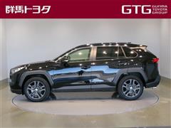 RAV4 アドベンチャー